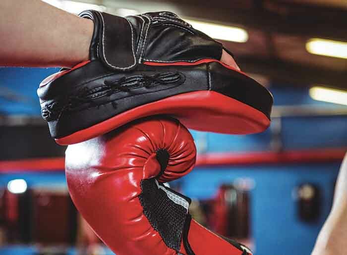 Savate Boxe